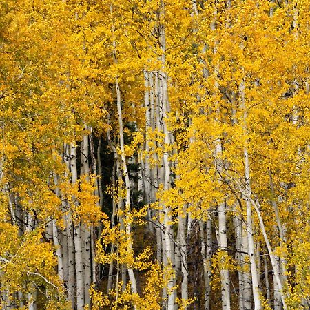 Aspen Springs Angel Fire Aparthotel Luaran gambar